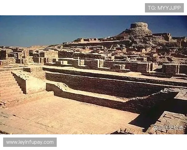 世界足球明星维娜的传奇人生与辉煌成就揭秘